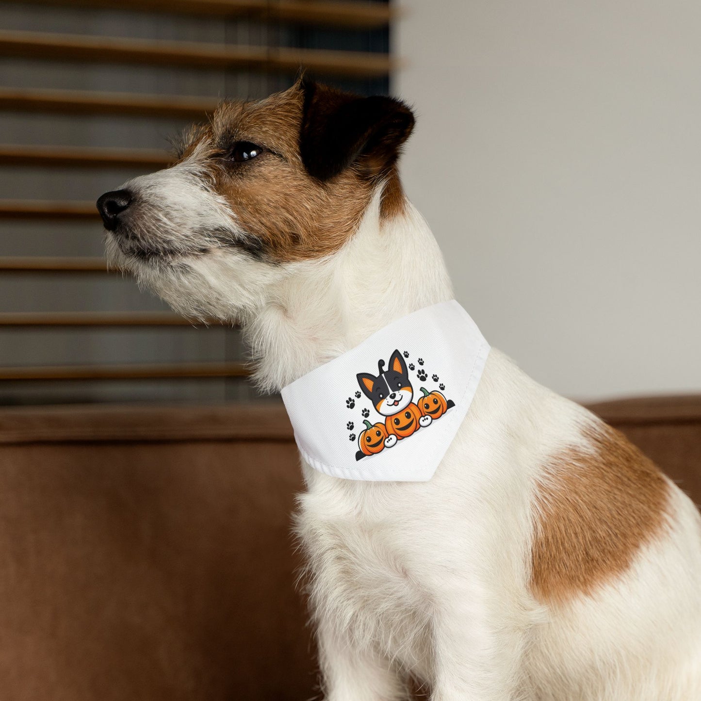 Pet Bandana Collar
