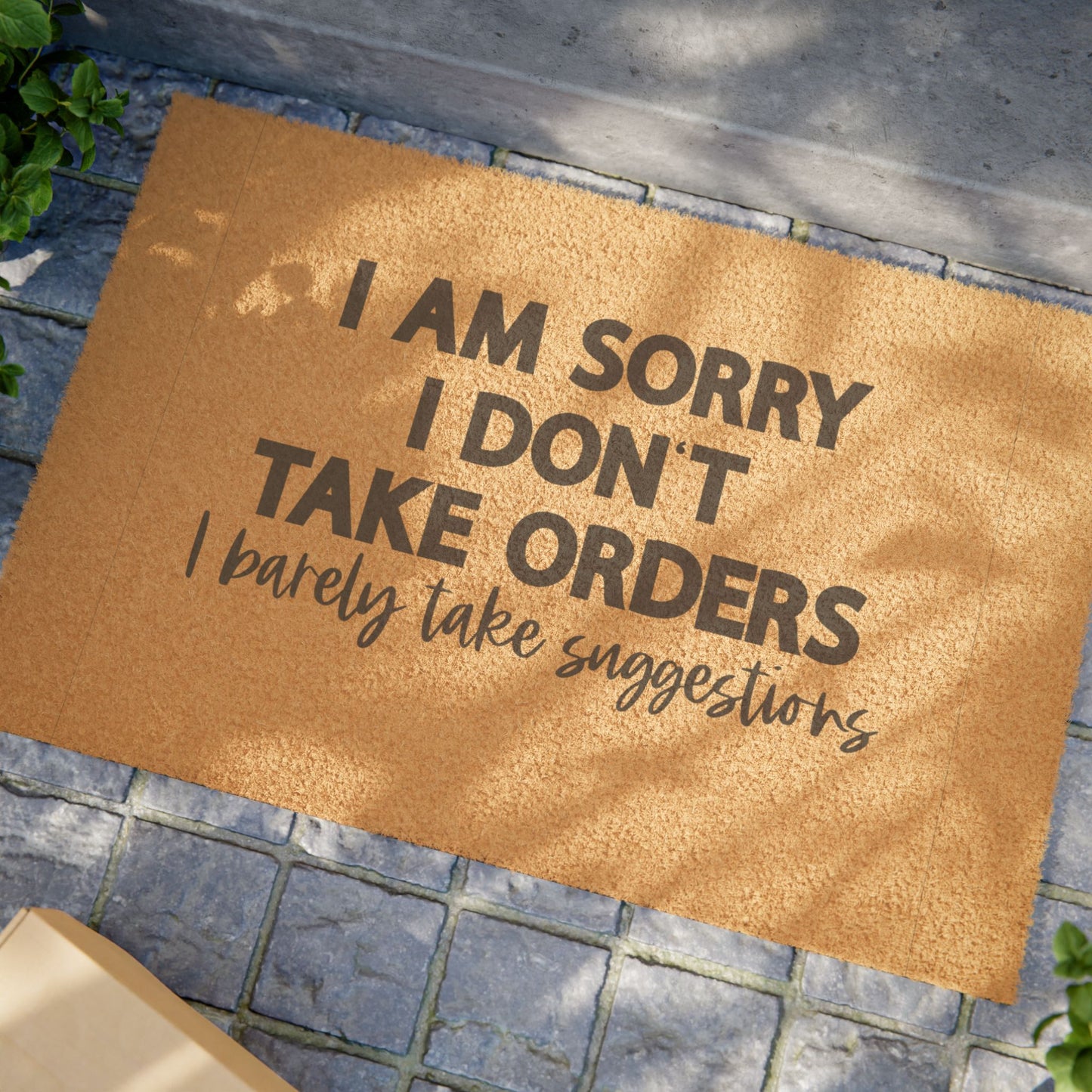 Funny Doormat with Quote, Humorous Welcome Mat, Gift for New Home, Entrance Rug, Housewarming Decor, Quirky Decor