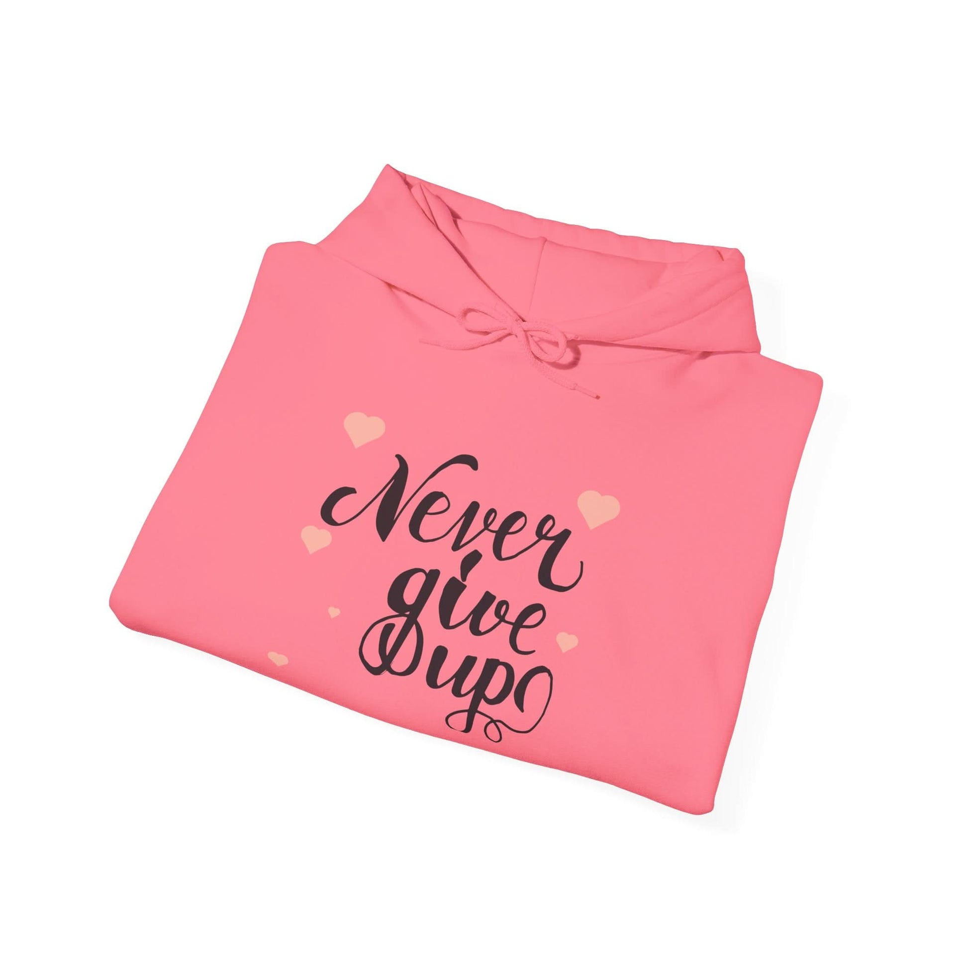 Never Give Up - Mleem