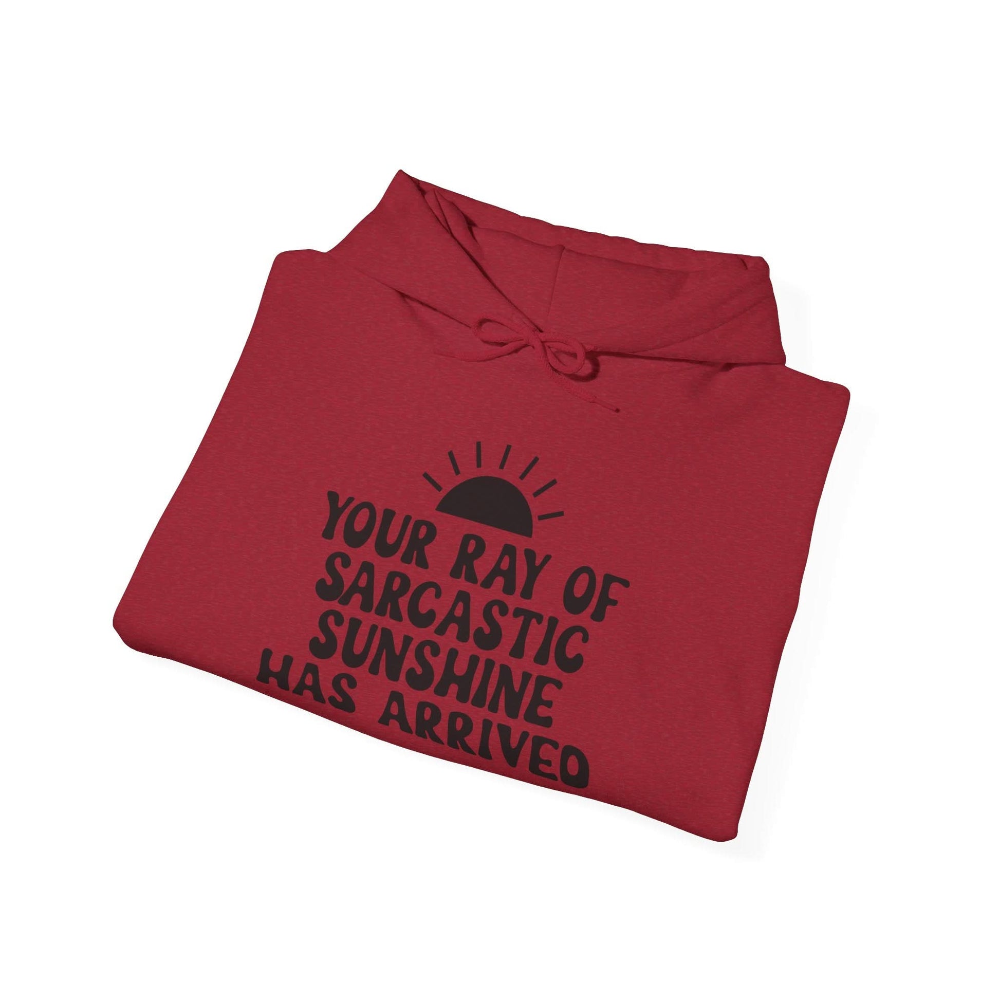 Your Ray Of Sarcastic Sunshine Has Arrived - Mleem
