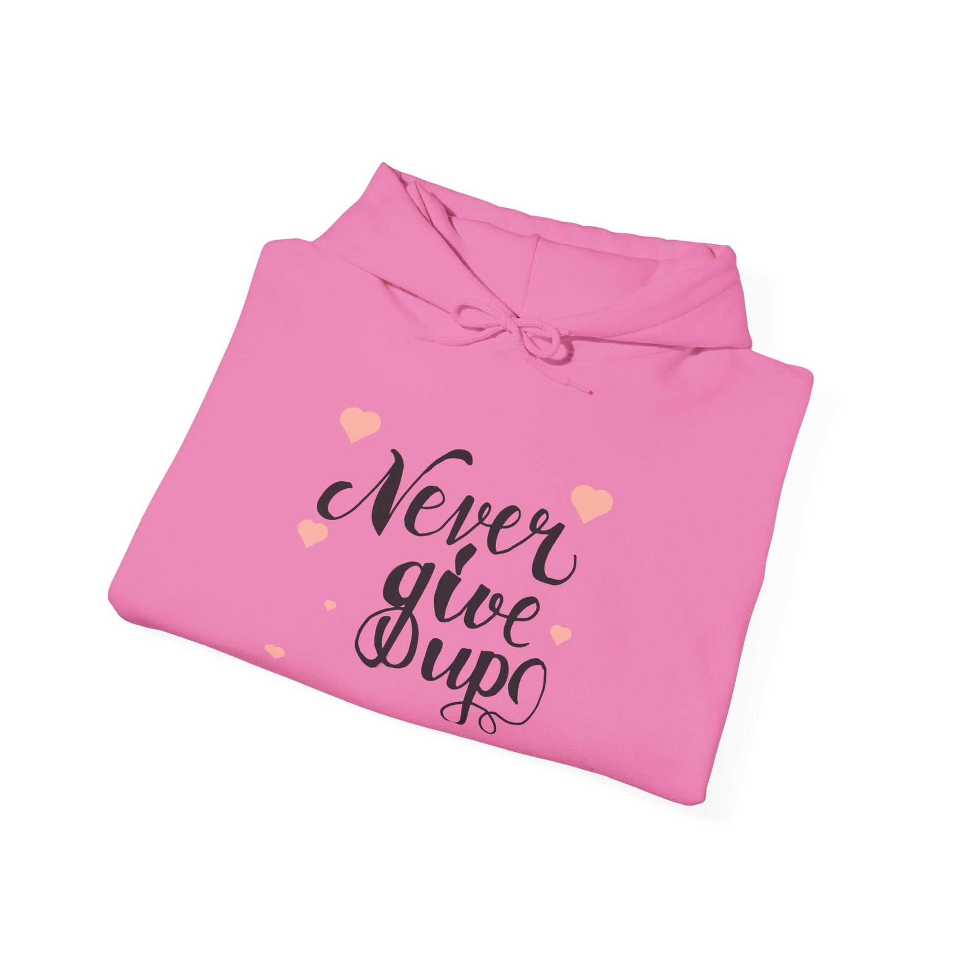 Never Give Up - Mleem