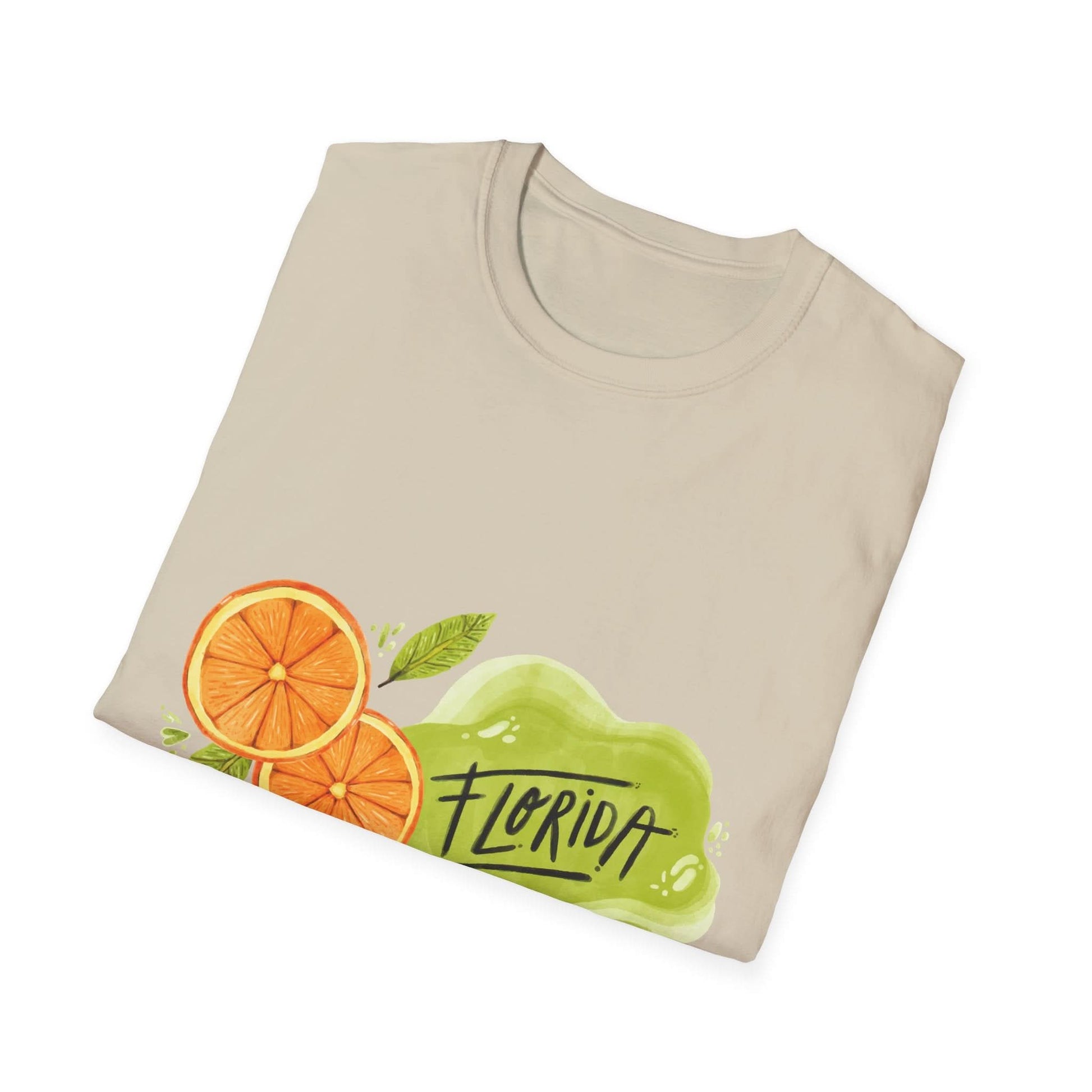 Florida Orange County Watercolor - Mleem