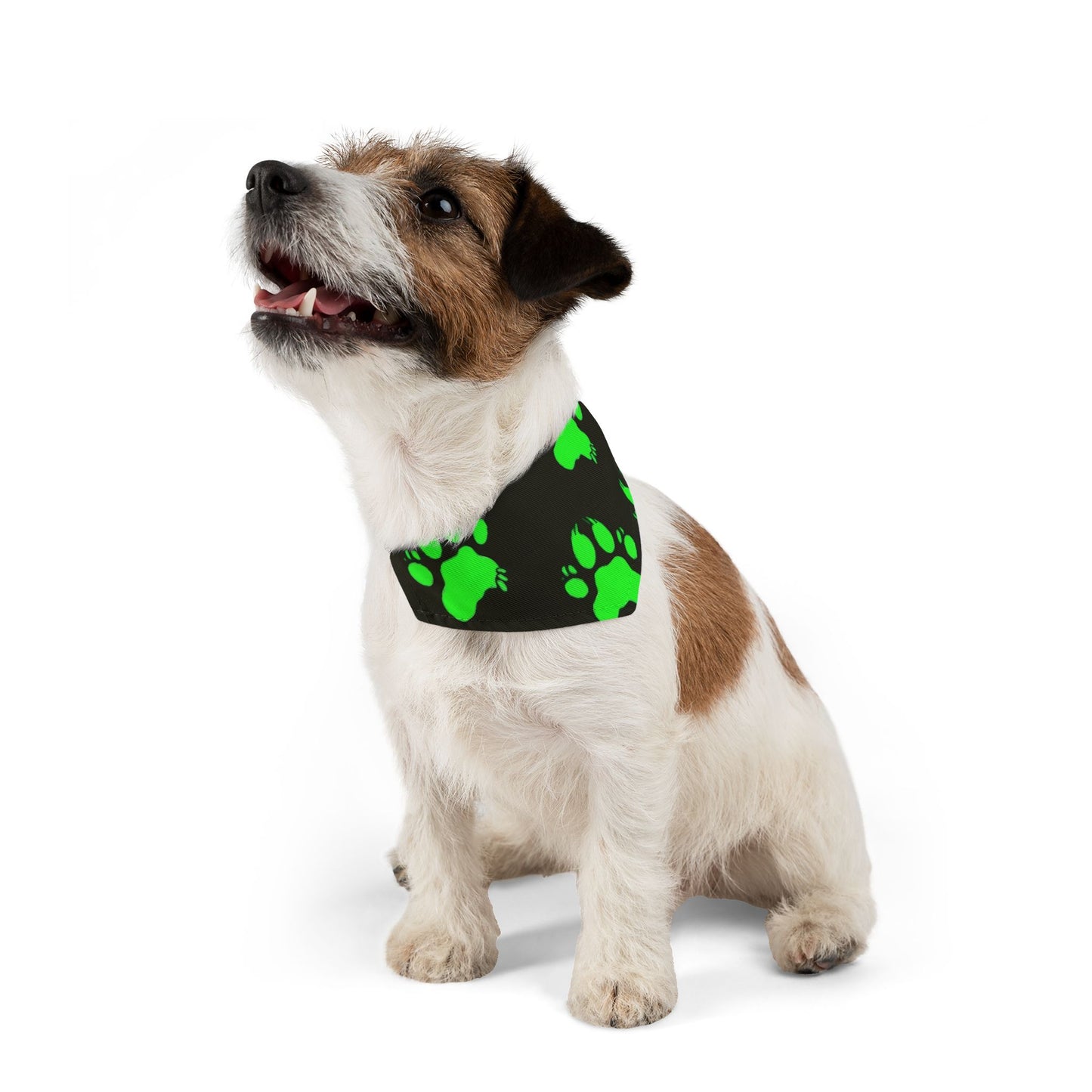 Glow-in-the-Dark Pet Bandana Collar | Funky Dog Accessory for Pet Lovers, Halloween Costume, Night Walks, Gift for Dog Owners