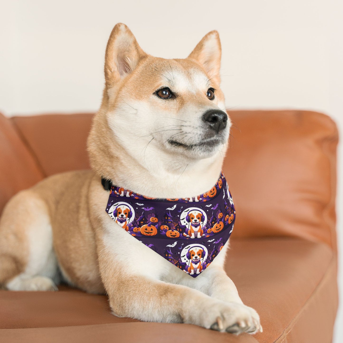 Pet Bandana Collar