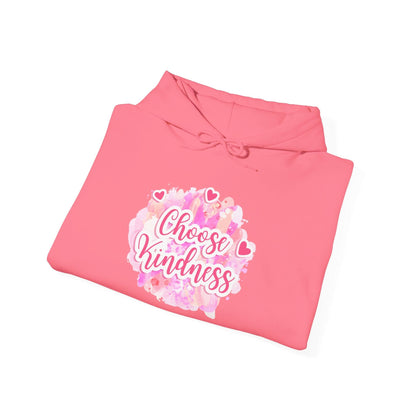 Choose Kindness - Mleem