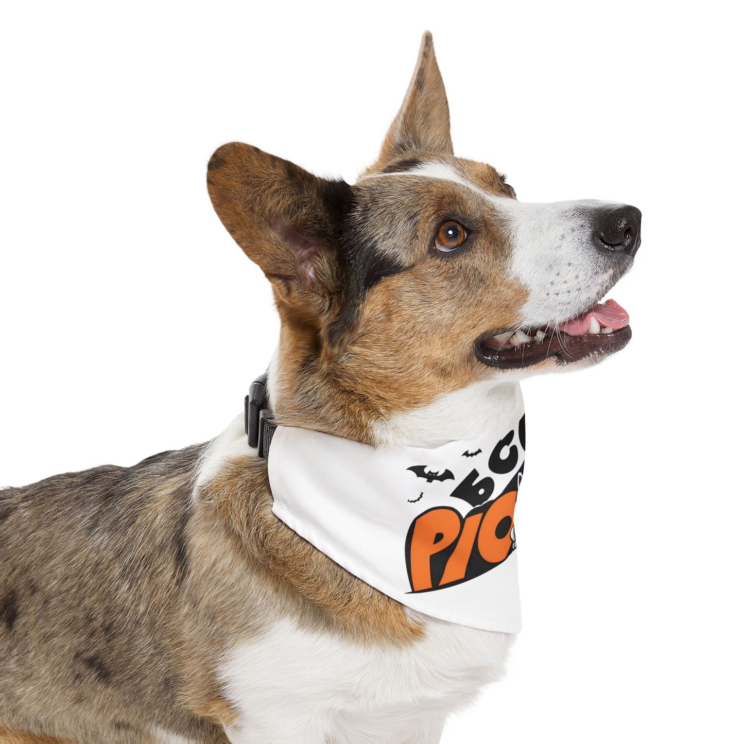 Pet Bandana