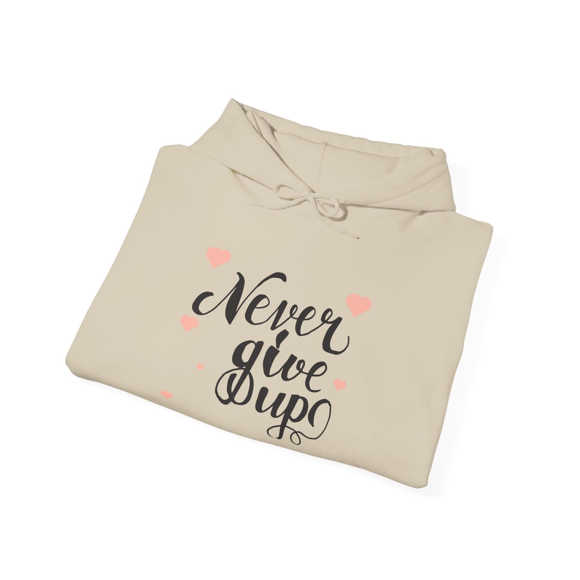 Never Give Up - Mleem