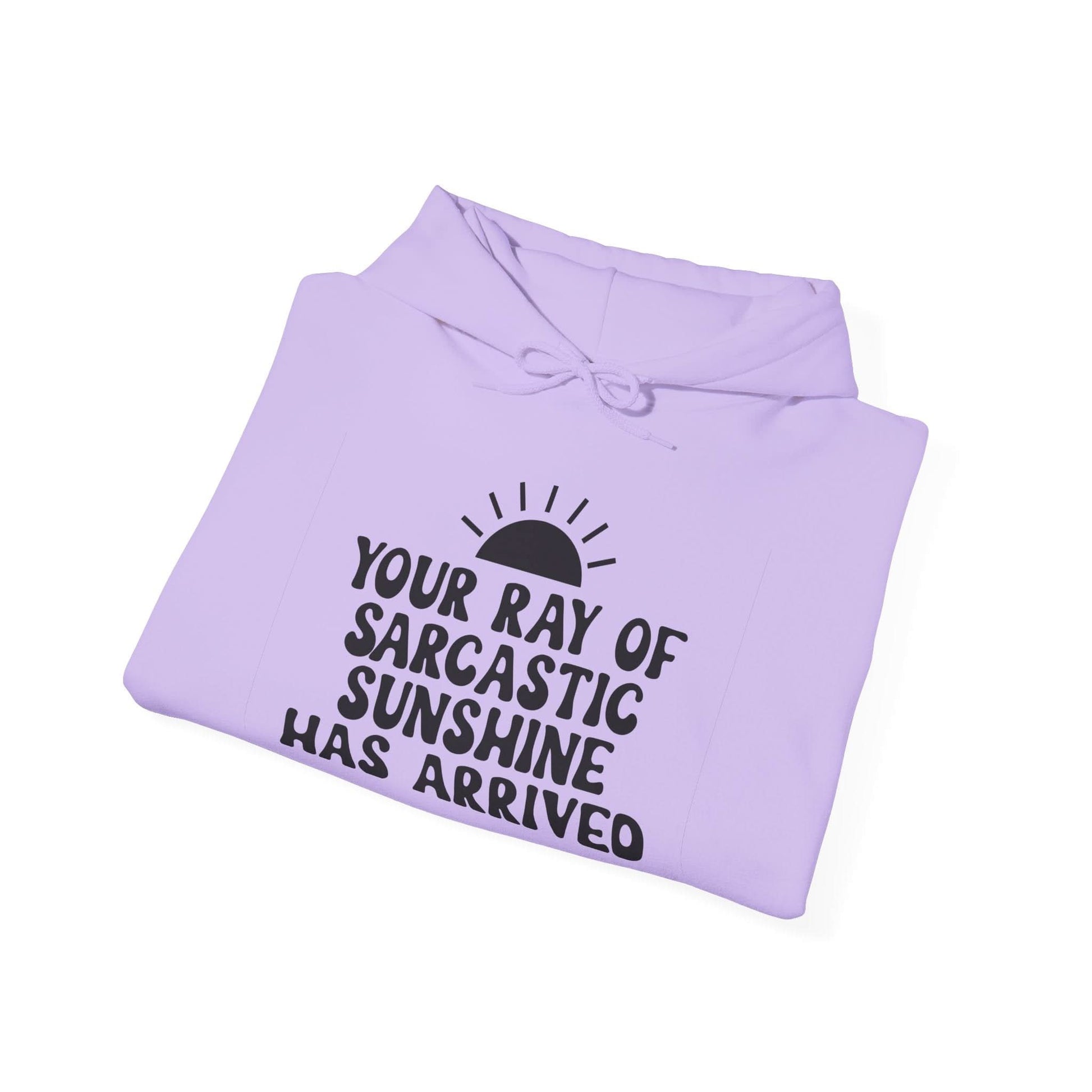 Your Ray Of Sarcastic Sunshine Has Arrived - Mleem