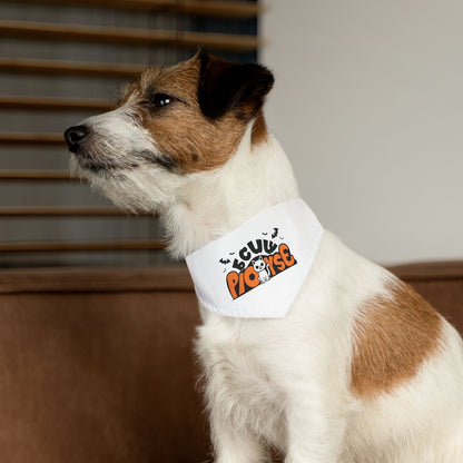 Pet Bandana