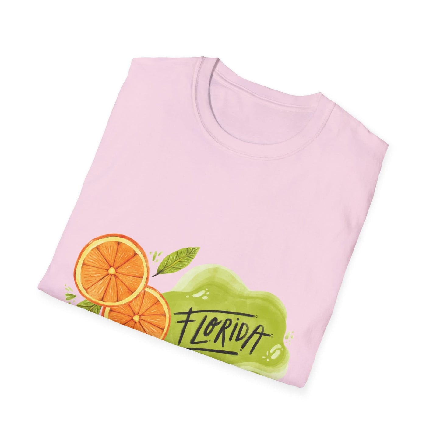 Florida Orange County Watercolor - Mleem