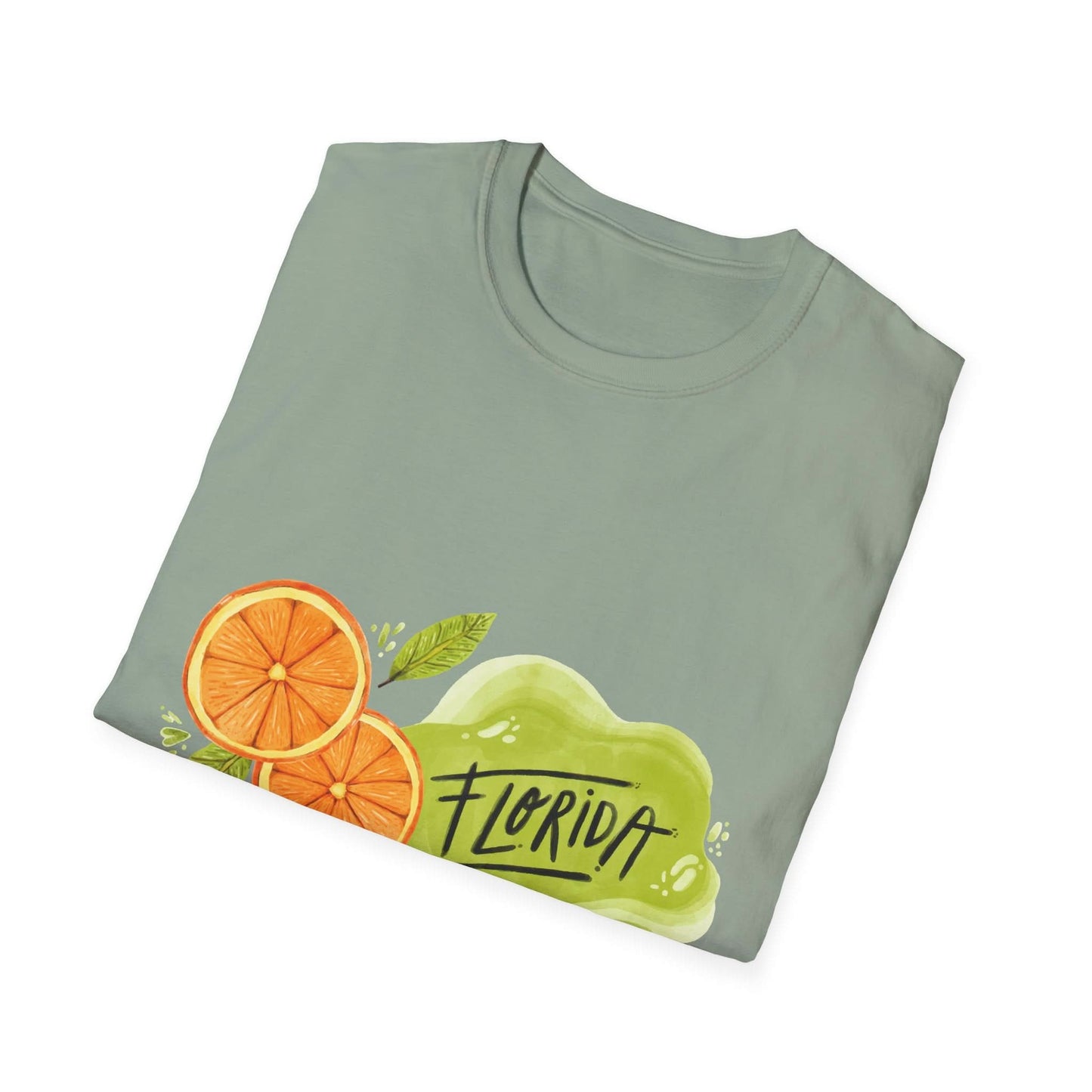 Florida Orange County Watercolor - Mleem
