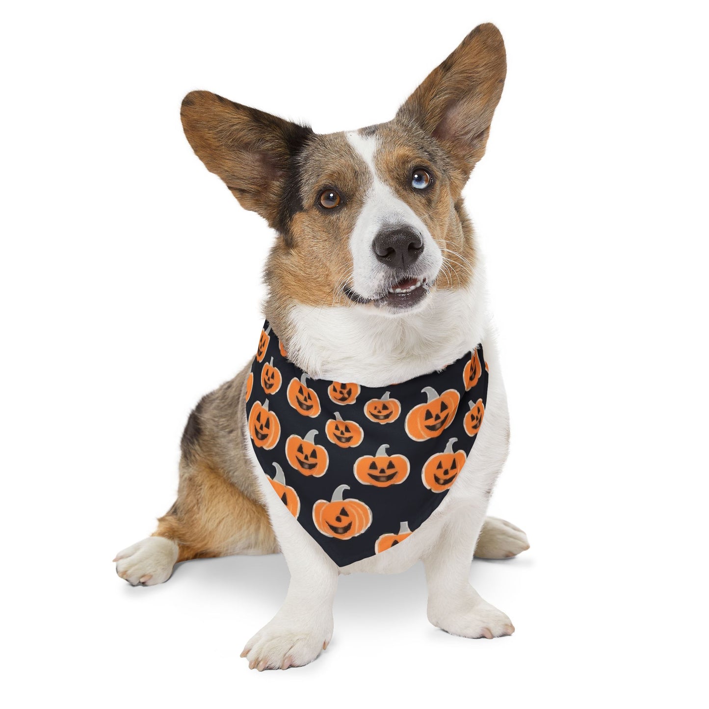 Pumpkin Print Pet Bandana Collar, Halloween Dog Accessory, Spooky Pet Fashion, Fall Outfit for Dogs, Dog Costume, Pet Halloween Gear