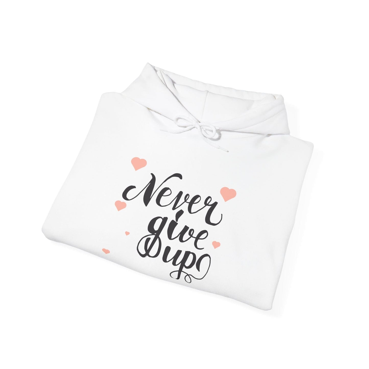 Never Give Up - Mleem