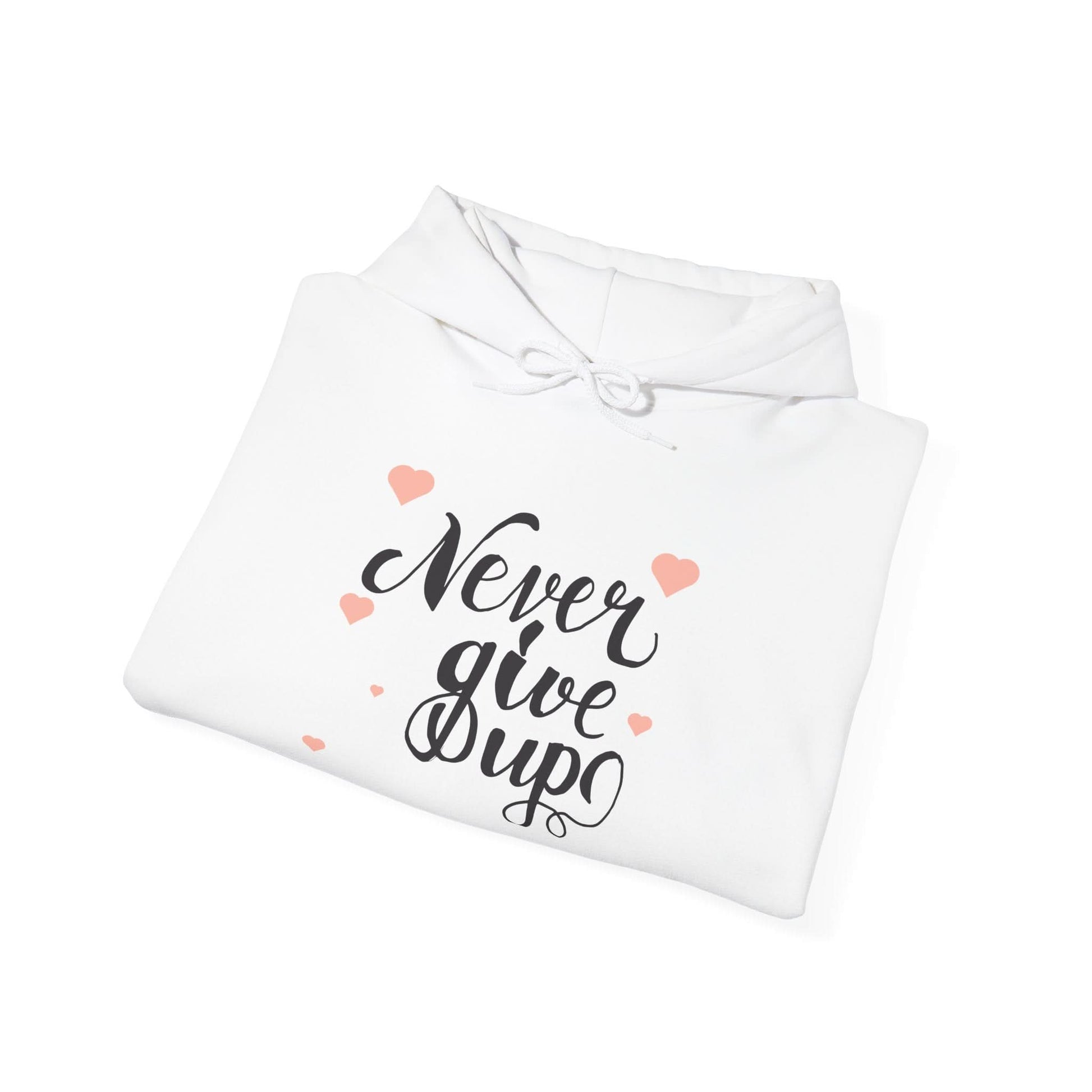 Never Give Up - Mleem