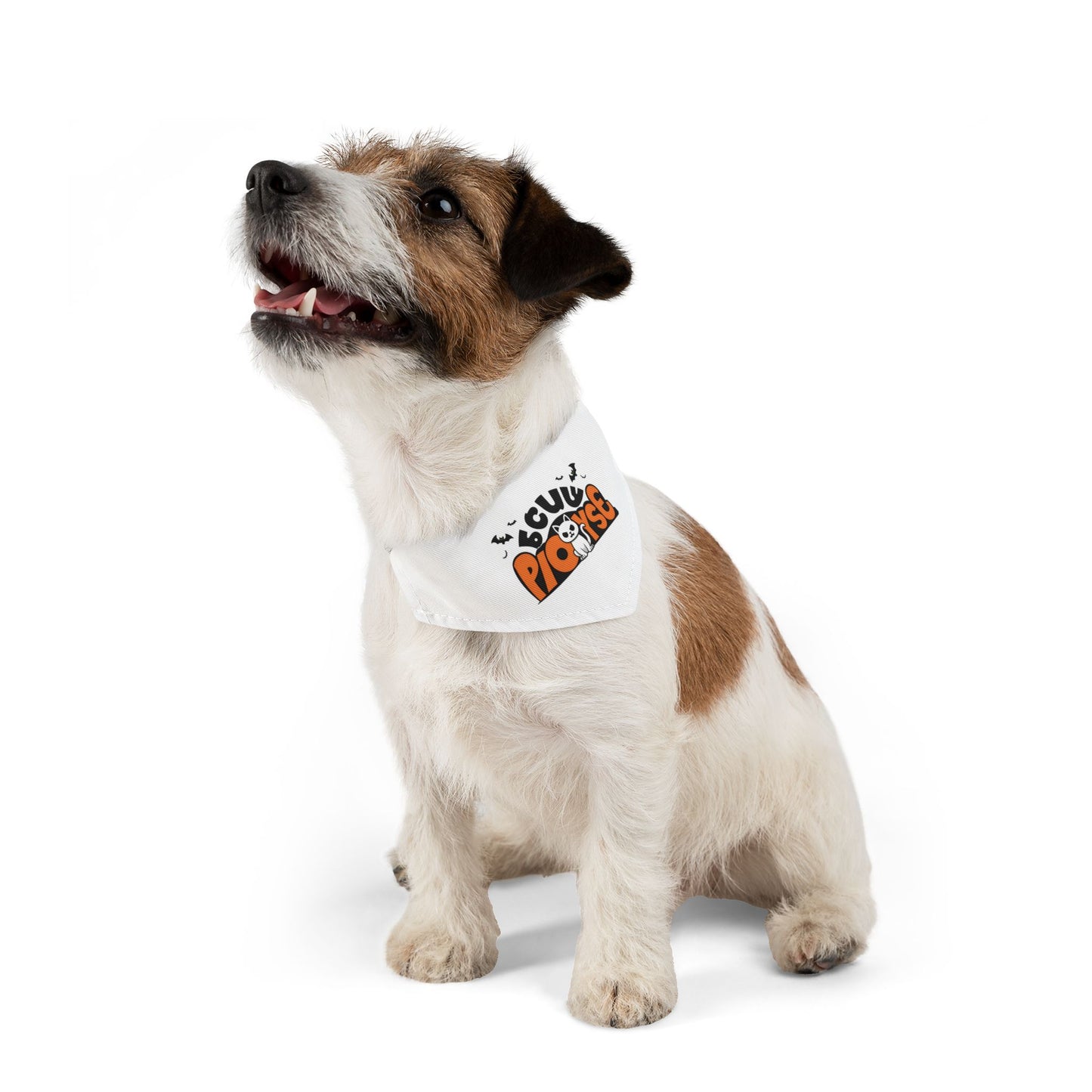 Pet Bandana
