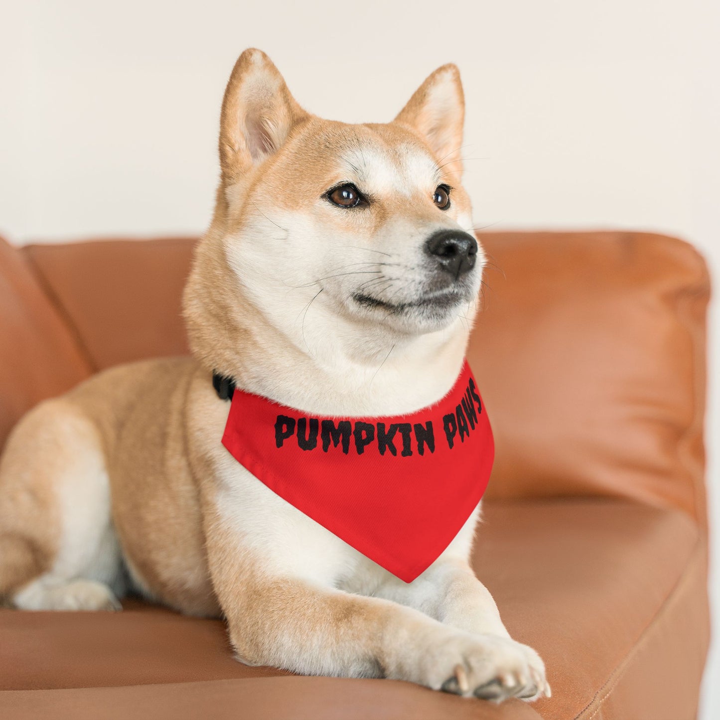 Pet Bandana