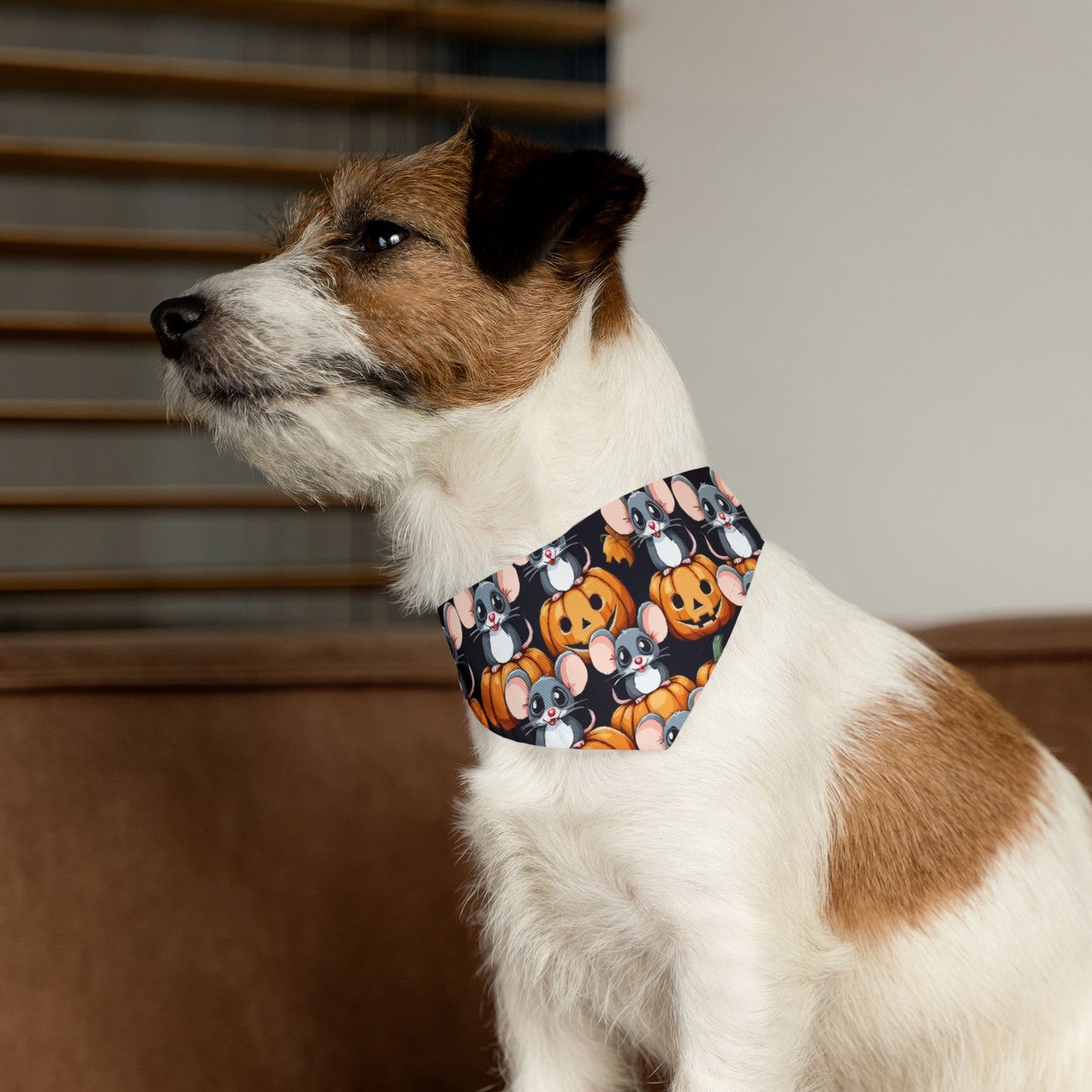 Pet Bandana Collar