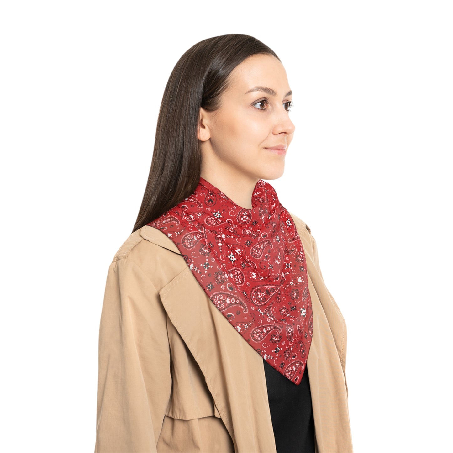 Chic Paisley