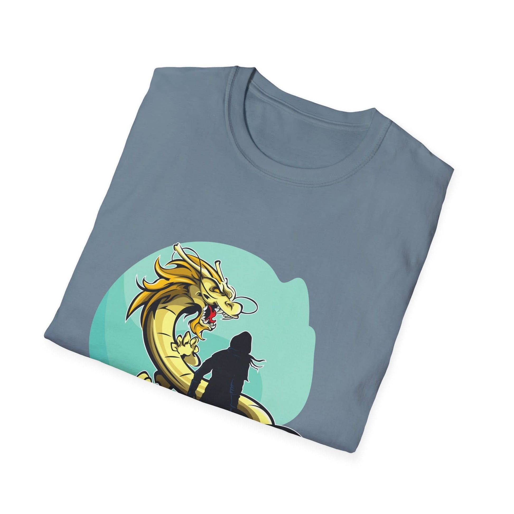Swordsman Challenging The Dragon - Mleem